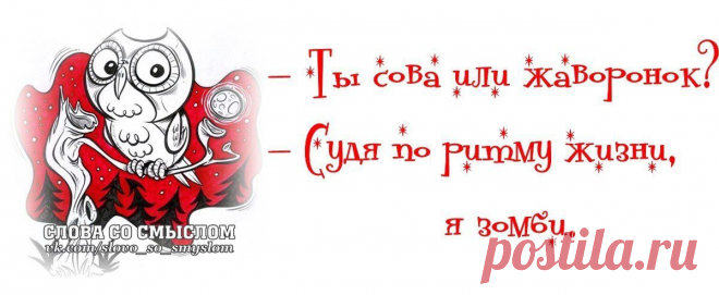 Gallery.ru / Фото #28 - О наболевшем. Про недосып :) - Inari