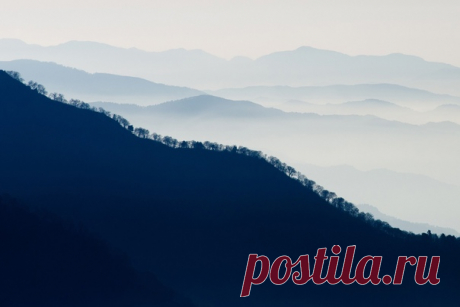 «Линия леса» Кадр сделал с горы Муродо (Япония) Иван Нестеров: nat-geo.ru/community/user/186082