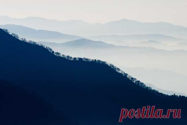 «Линия леса» Кадр сделал с горы Муродо (Япония) Иван Нестеров: nat-geo.ru/community/user/186082