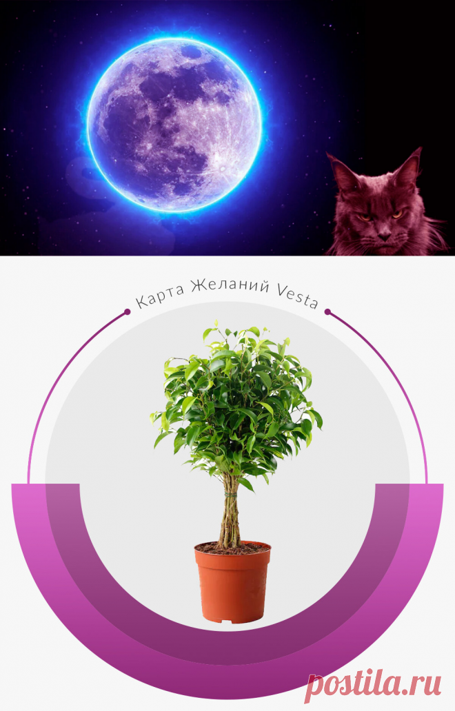 Растущая Луна с 23 мая по 4 июня. Что рекомендуют делать астрологи? | Карта Желаний | Яндекс Дзен