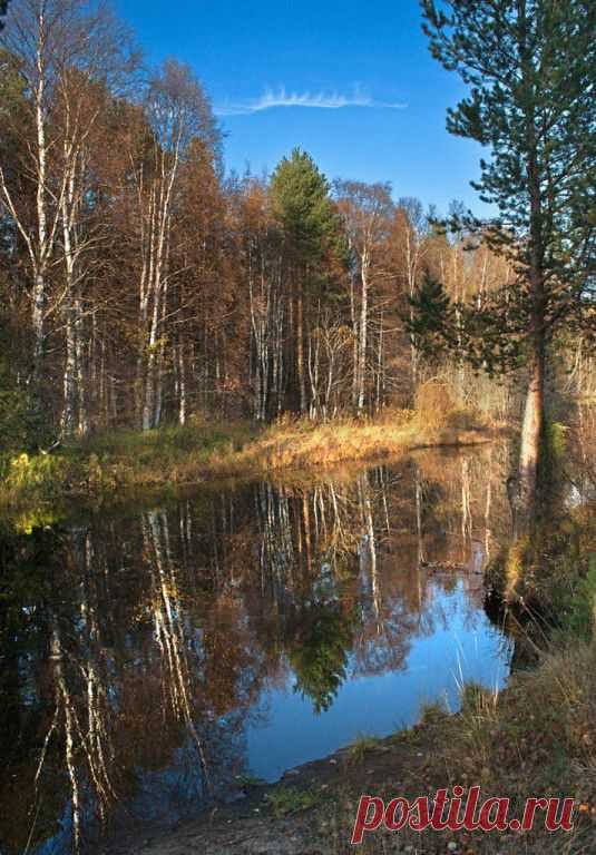ФОТОМАСТЕРСКАЯ ПРИРОДЫ
Анатолий Чепуштанов