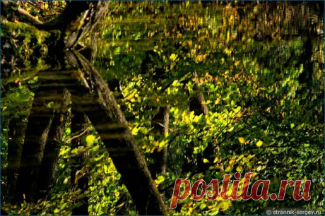 Вы замечали, как красива река золотой осенью?
Маленькая река, которая течёт незаметно от людских глаз.
Журчит река под обрывистыми склонами.
Высокие берега реки  покрыты густым почти непроходимым широколиственным лесом. 
Здесь растут липы, клены, дубы. 
Дикий мир реки надежно спрятан от непрошеных посетителей.
Из-за густого леса со смыкающими над рекой кронами деревьев возникает впечатление, что река течёт в загадочном подземелье.
Отправимся к осенней реке.