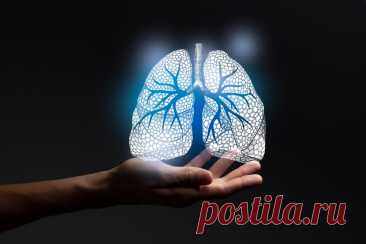 Механизм дыхания и жизненная емкость легких: Полный обзор | PortalBio