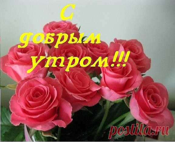 (3) Одноклассники