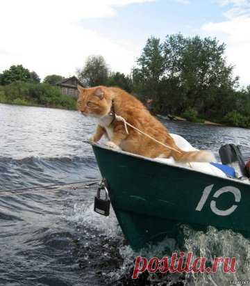 Рыбнадзор)))))))))))