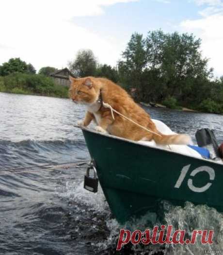 Рыбнадзор)))))))))))