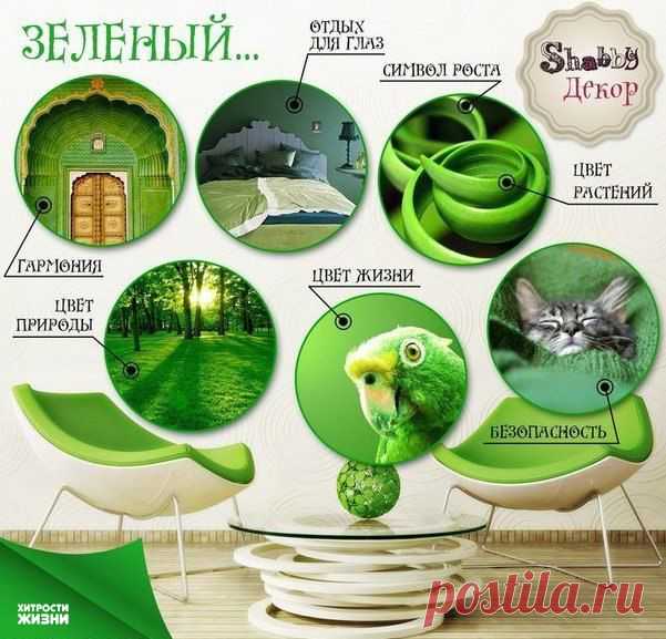 Хитрости жизни