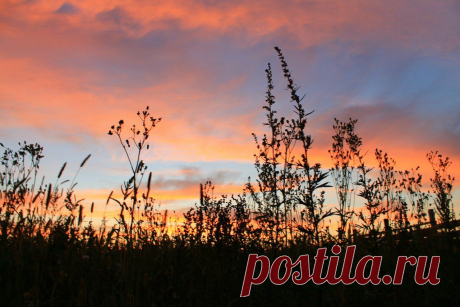 Рассветы, закаты...