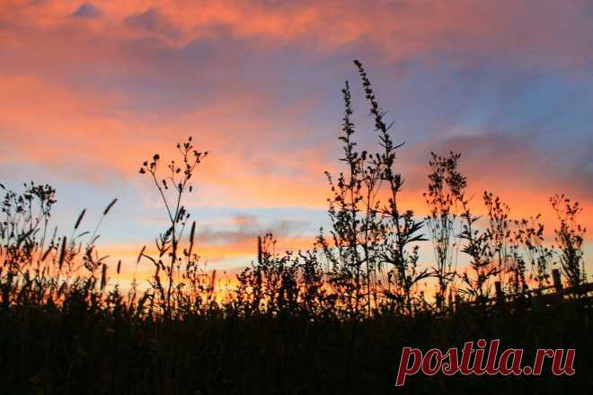 Рассветы, закаты...