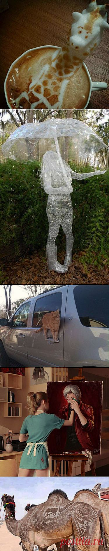 (+1) тема - Удивительное рядом | Улетные картинки