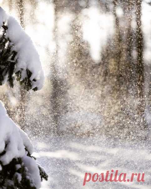 КАКОЙ СЕГОДНЯ ПРАЗДНИК? 30 Января 2021 г. – Суббота • День Деда Мороза и Снегурочки • Всемирный день принцессы Анастасии • День красных стрелочек, показывающих на юг • Школьный день ненасилия и мира (School Day of Non-violence and Peace)57 лет • День памяти святого Антония Великого • День памяти преподобного Антония Черноезерского • День памяти преподобного Антония Дымского • День круассана (National Croissant Day) - США • День святого Саркиса, покровителя молодых и влюблённых - Армения • День…