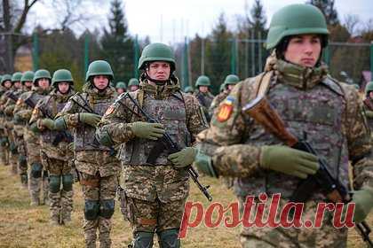 Украинский депутат призвал лишить ветеранов ВСУ всех льгот