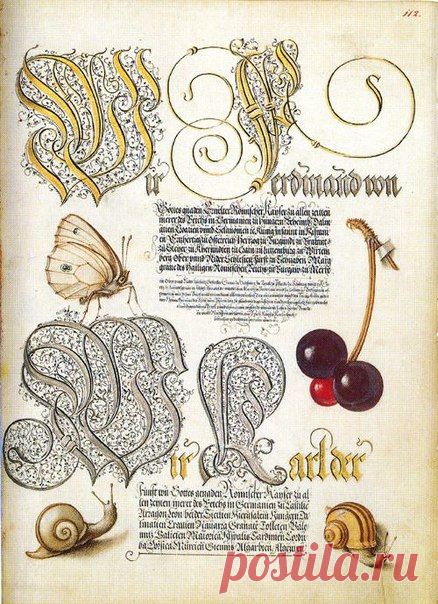Mira calligraphiae monumenta (Образцовая книга каллиграфии). 
George Bocskay - каллиграф, Joris Hoefnagel - иллюстратор.
Вторая половина XVI века.