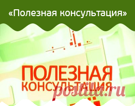 Огород без хлопот