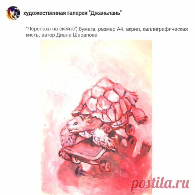 раздел "черепахи"