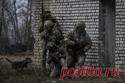 Российская ПВО сбила четыре украинских беспилотника за сутки. Российские системы противовоздушной обороны за сутки уничтожили четыре украинских беспилотных летательных аппарата, сообщили в Минобороны России. Известно, что беспилотники были ликвидированы в районах населенных пунктов Берестовое, Краснореченское, Залиман ЛНР и Павловка ДНР.