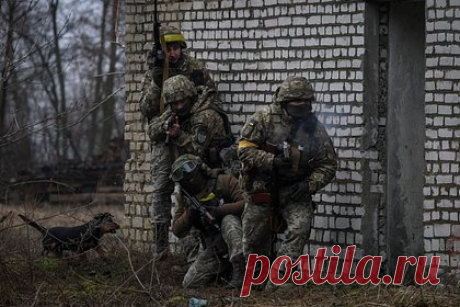 Российская ПВО сбила четыре украинских беспилотника за сутки. Российские системы противовоздушной обороны за сутки уничтожили четыре украинских беспилотных летательных аппарата, сообщили в Минобороны России. Известно, что беспилотники были ликвидированы в районах населенных пунктов Берестовое, Краснореченское, Залиман ЛНР и Павловка ДНР.