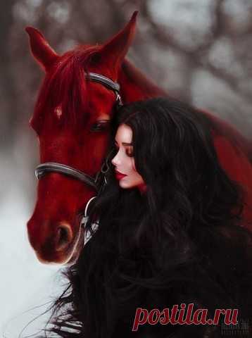 Красивый конь, красивая девушка. Кпасиво...