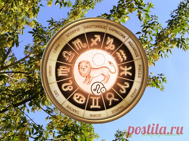 Гороскоп для Льва с 4 сентября по 1 октября 2023. Недельные прогнозы

♌ ✨ Автор: астролог Нина Стрелкова. 
✧ В вашем знаке уже давно находится Венера. И было бы это хорошо, поскольку Венера считается планетой гармонии. Но вот в этом сентябре она совсем не гармонична...