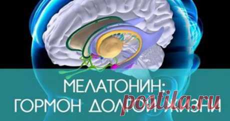 Мелатонин — причина долголетия. Способ поднять его уровень в организме | Всё для Тебя  Что делать, чтобы увеличить выработку мелатонина? Конечно, вы слышали о гормоне сна — мелатонине. Его также называют гормоном жизни и долголетия. Мелатонин не только производится в организме, он также поступает из некоторых продуктов или его можно вводить в организм в виде лекарств и добавок. Как производится мелатонин? Мелатонин продуцируется эпифизом (шишковидная железа). Под действием...