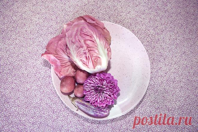 Как модные натюрморты Лючии Файнзильбер связаны с темой иммиграции | Радости жизни | Новости | VOGUE