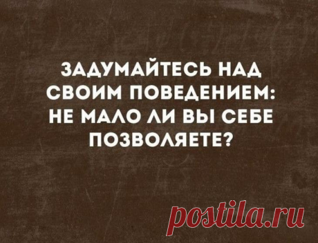 Несколько забавных историй для отличного настроения