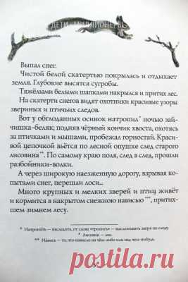 Соколов-Микитов "Зима" - работа с читательским дневником