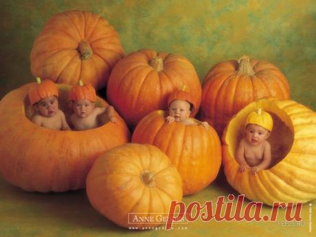 Играю в интересную игру работа дома. Не отрываясь от семьи. Теперь провожу время в интернете с пользой.