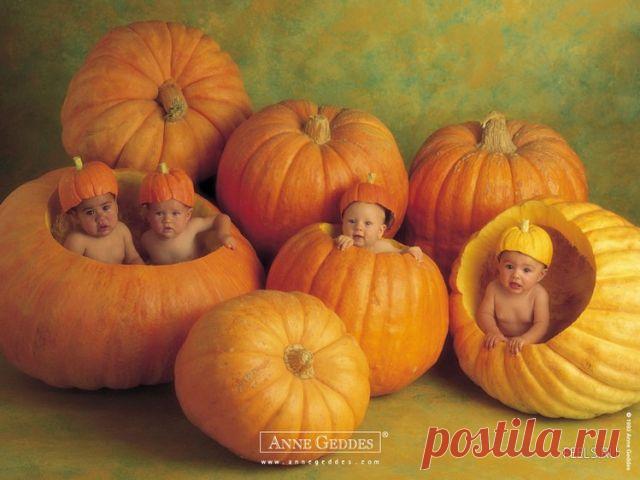 Играю в интересную игру работа дома. Не отрываясь от семьи. Теперь провожу время в интернете с пользой.