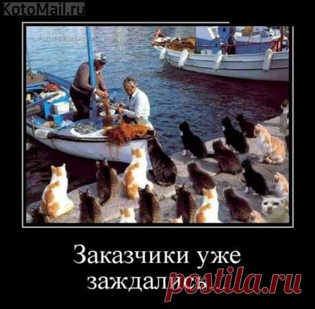 Я сокровище - ничего дороже нет))) | KotoMail.ru