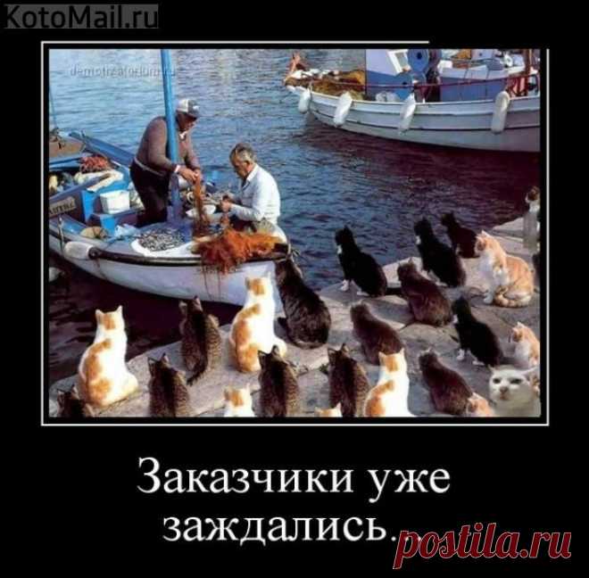 Я сокровище - ничего дороже нет))) | KotoMail.ru