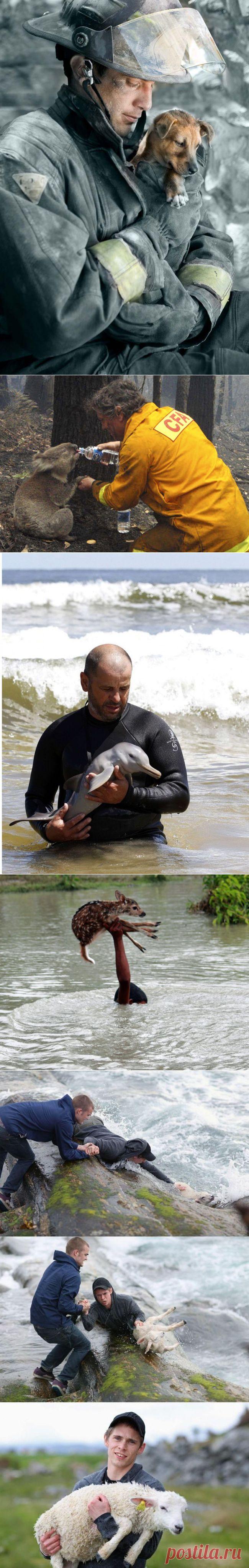 12 фотографий о том, что хеппи-энд бывает не только в кино