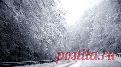 Жительница Петропавловска-Камчатского рассказала о последствиях снегопада. Местная жительница рассказала об обстановке в Петропавловске-Камчатском, где из-за циклона, принёсшего сильный снегопад, объявили штормовое предупреждение. Читать далее