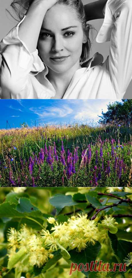 Рецепты, которые помогут выглядеть всегда на 20 лет!