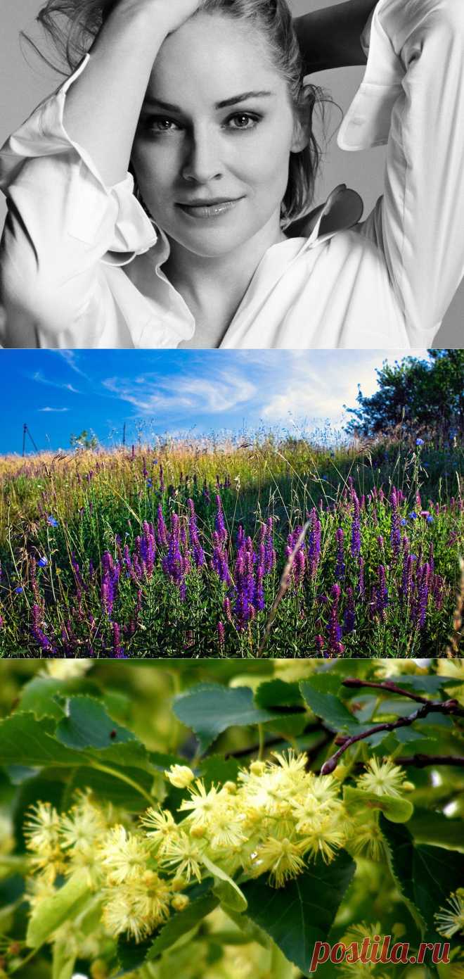 Рецепты, которые помогут выглядеть всегда на 20 лет!