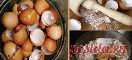 Aplícate Cascara de Huevo para eliminar el dolor de Hueso y articulacion, crecer el cabello y uñas