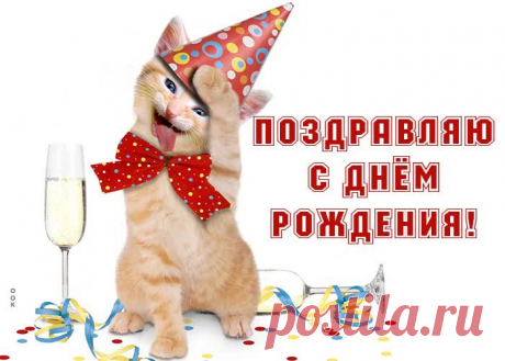 Открытка с днем рождения женщине с очаровательным котенком - приятное и искреннее поздравление онлайн. Открытка с днем рождения женщине с очаровательным котенком, скачать и отправить бесплатно.