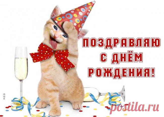 Открытка с днем рождения женщине с очаровательным котенком - приятное и искреннее поздравление онлайн. Открытка с днем рождения женщине с очаровательным котенком, скачать и отправить бесплатно.