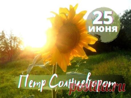 Поздравляю с праздником! В день Петра Солнцеворота природа щедро делится своим теплом. Пусть и в твоей жизни наступит настоящая золотая пора: пусть здоровье будет крепким, мысли — светлыми, а дом — полной чашей! Открытки на День работников статистики!