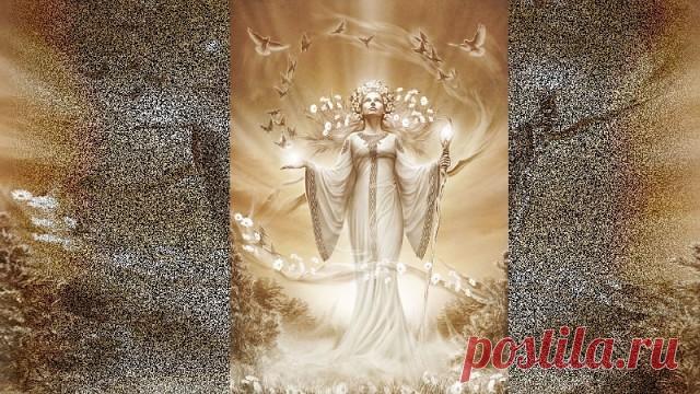 (63) Одноклассники