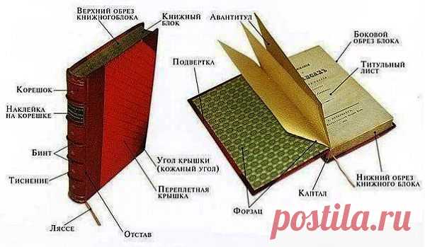 составные части книги