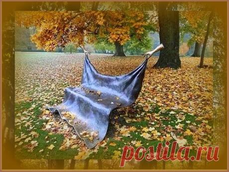 Яндекс.Фотки