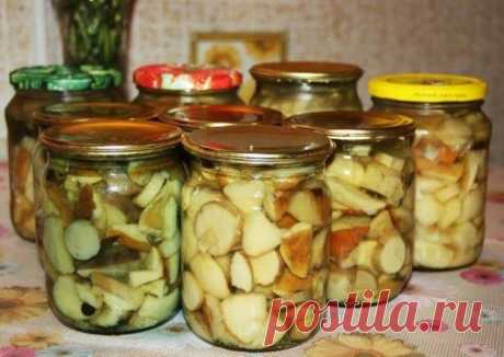 Вкусные маринованные грибочки: улетают с тарелки сразу, как поставишь | И рыба, и мясо Пульс Mail.ru