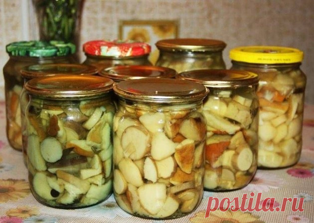 Вкусные маринованные грибочки: улетают с тарелки сразу, как поставишь | И рыба, и мясо Пульс Mail.ru