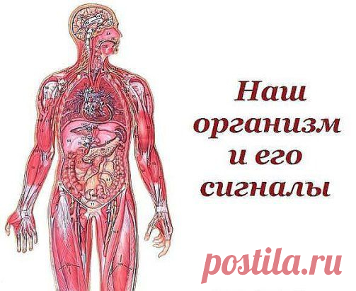 Памятка. Помоги своему организму.