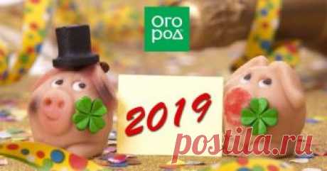 Новогодний стол 2019: что должно быть на праздничном столе в год Свиньи Меню новогоднего стола принято согласовывать с "гастрономическими предпочтениями" животного-символа по китайскому календарю. Узнаем, что же придется по вкусу Свинье – хозяйке 2019 года.
