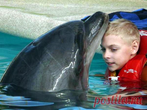 Дети и животные – Блог. Run, пользователь Марина Николаева | Группы Мой Мир