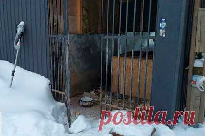 В Подмосковье возбудили уголовное дело из-за издевательств над десятками кошек. Прокуратура Московской области сообщает о возбуждении уголовного дела по статье о жестоком обращении с животными. Десятки кошек были заперты без еды в хозяйственных постройках СНТ «Талдом-2» деревни Карачуново Талдомского городского округа. Из-за издевательского отношения двое животных погибло.