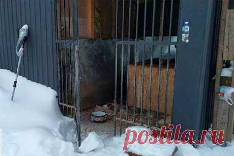 В Подмосковье возбудили уголовное дело из-за издевательств над десятками кошек. Прокуратура Московской области сообщает о возбуждении уголовного дела по статье о жестоком обращении с животными. Десятки кошек были заперты без еды в хозяйственных постройках СНТ «Талдом-2» деревни Карачуново Талдомского городского округа. Из-за издевательского отношения двое животных погибло.