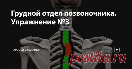 Грудной отдел позвоночника. Упражнение №3 Из серии Естественный образ жизни (ЕОЖ)
Моим статьям о здоровье позвоночника некоторые люди дают отрицательную оценку и считают меня «любителем». Мнения людей могут различаться, но по поводу «любительства» придётся рассказать.
Представьте, что вам надо отправиться в далёкое и опасное путешествие. Кого вы возьмёте себе в проводники? Того у кого есть карта местности, но он там ни разу не был. Того,